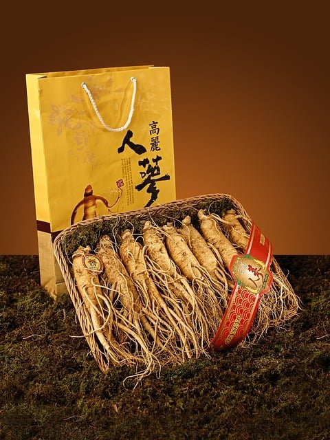 panax_ginseng