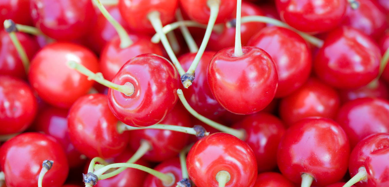 Does Tart Cherry Extract Have Any Nootropic Benefits?