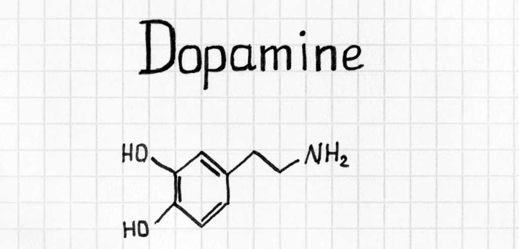 dopamine_receptors