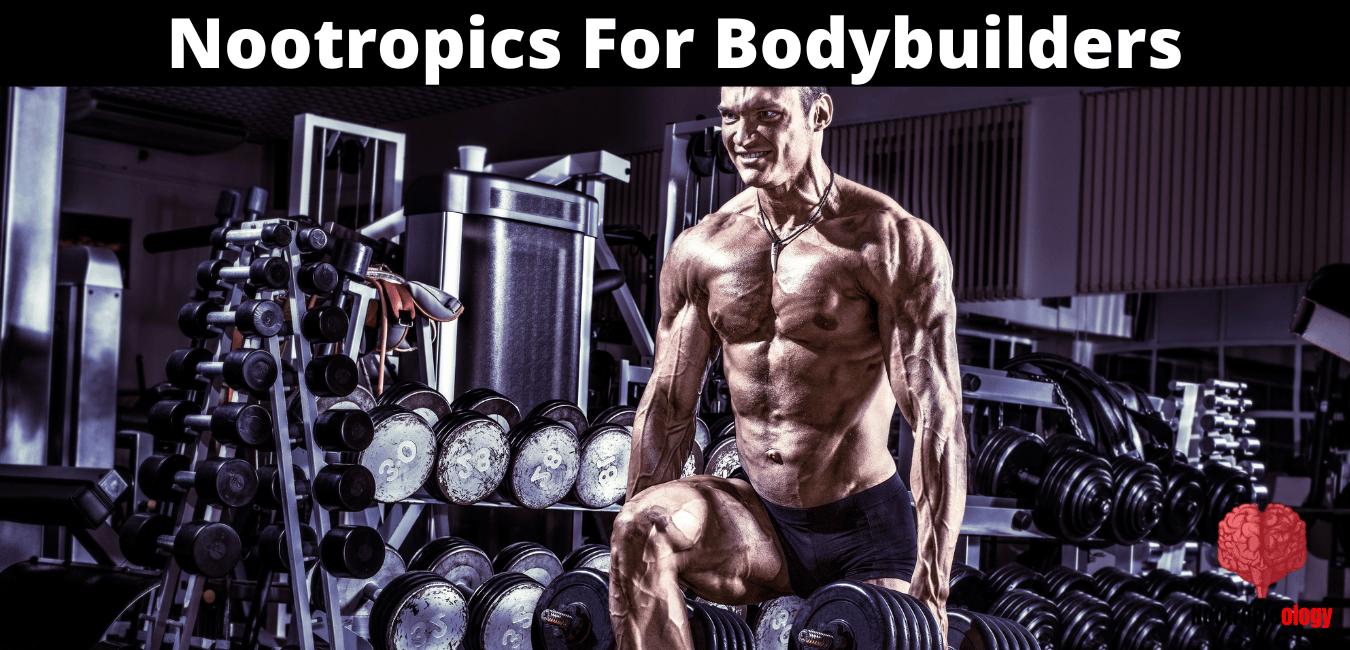 best nootropics for bodybuilders