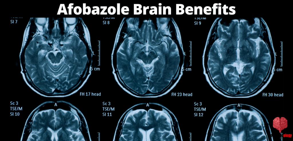 Afobazole Brain Benefits