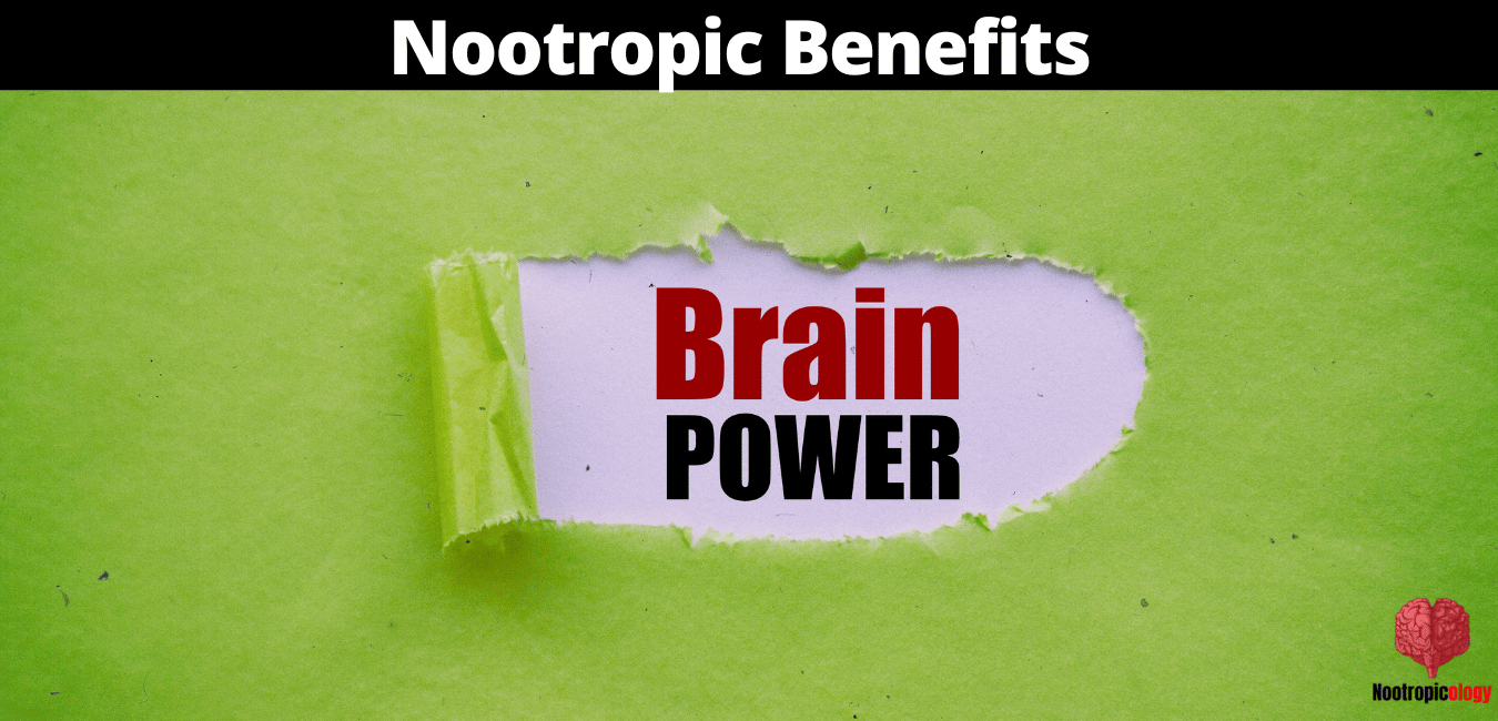 Cognizin Citicoline Nootropic Benefits