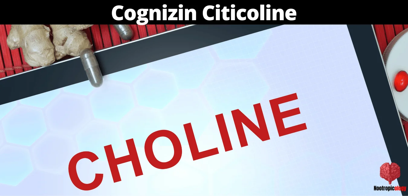 Cognizin Citicoline