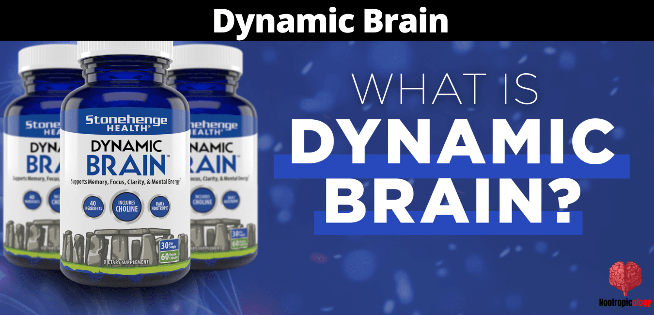 Dynamic brain