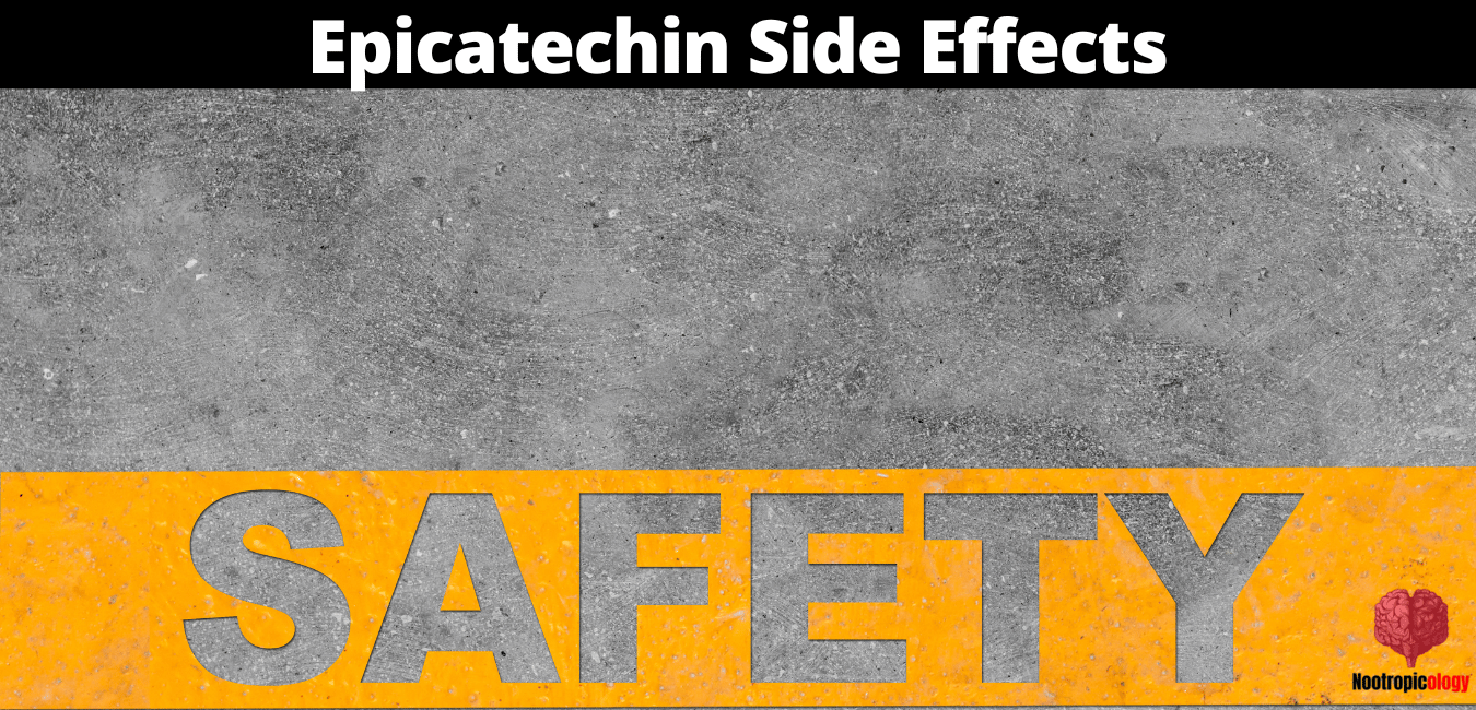 Epicatechin nootropic side effects
