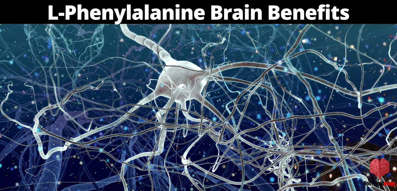 L Phenylalanine brain benefits