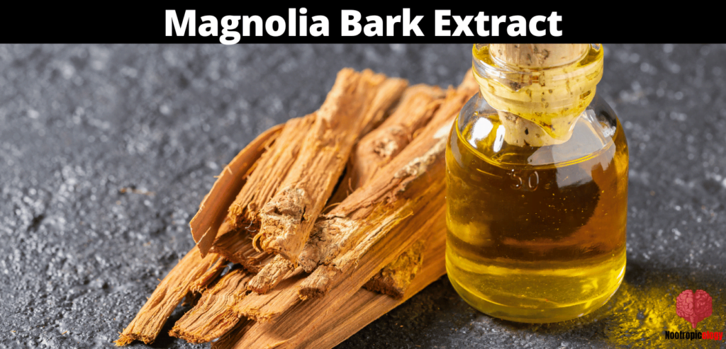 Magnolia Bark Extract Nootropic Review: Benefits, Side Effects & Dosage