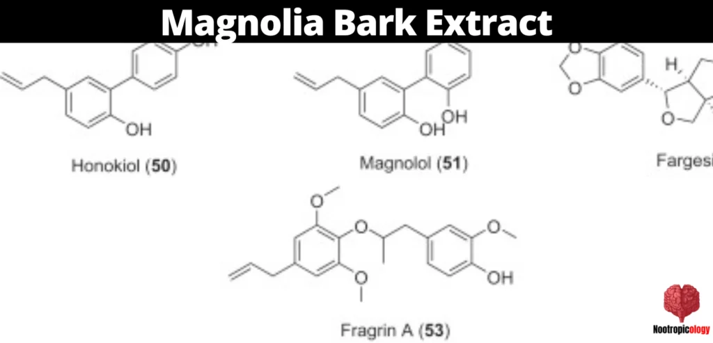 Magnolia Bark Extract composition