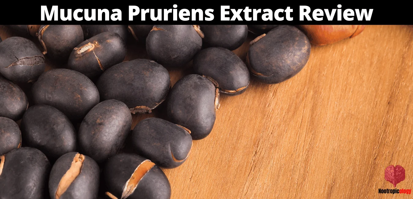 Mucuna Pruriens review