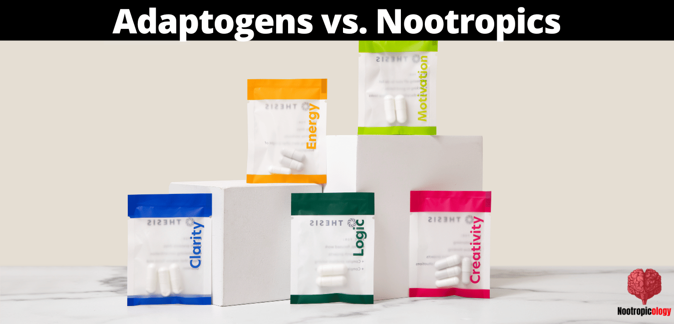 adaptogens vs nootropics