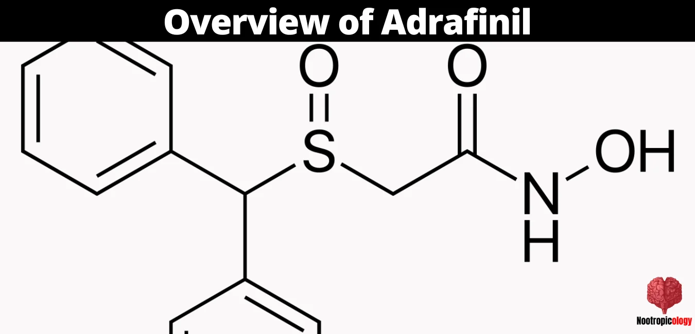 adrafinil overview