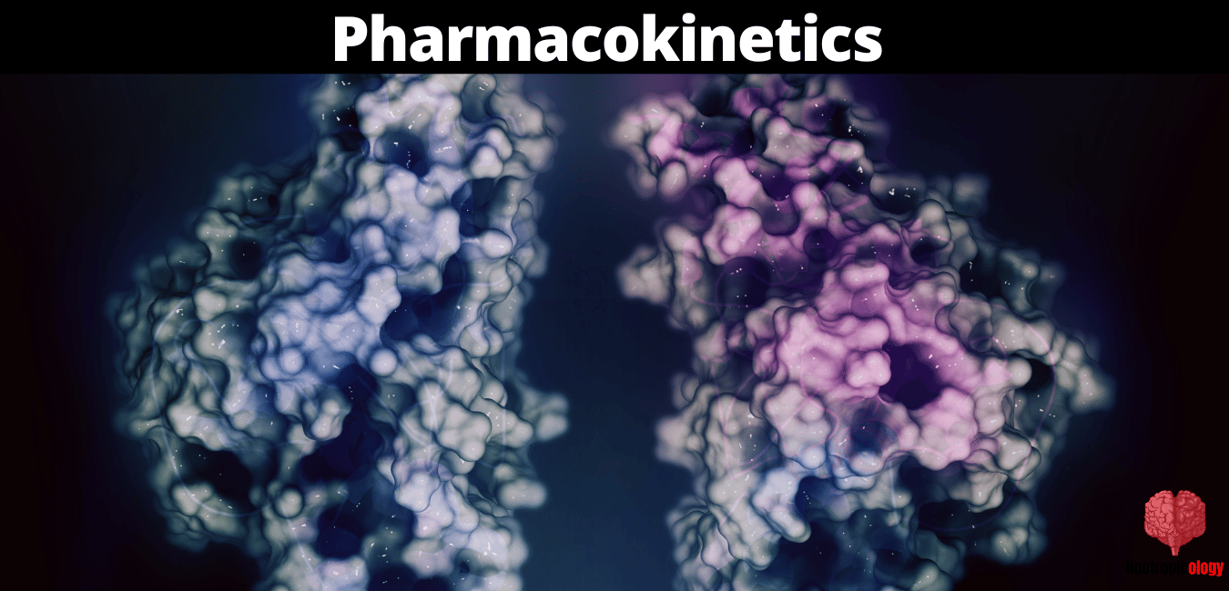 alpha gpc Pharmacokinetics