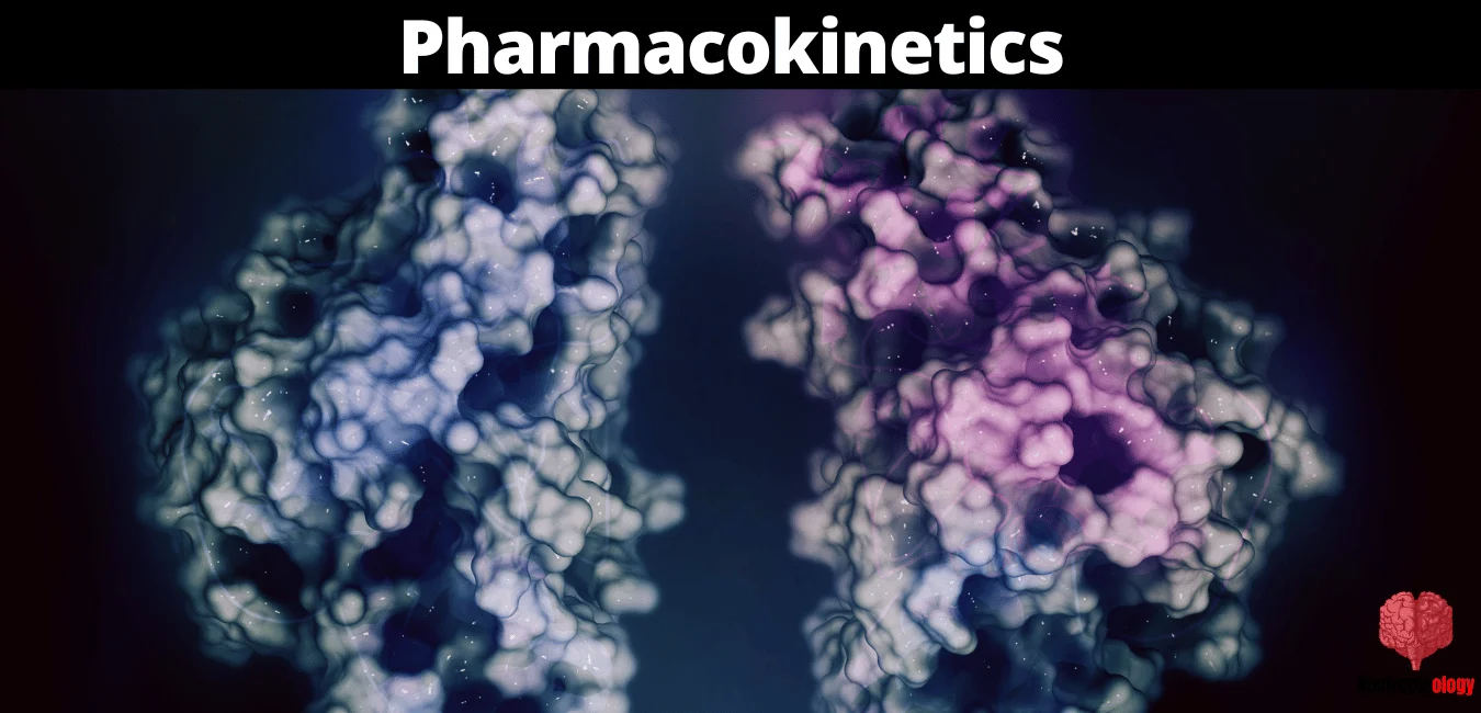 alpha gpc Pharmacokinetics
