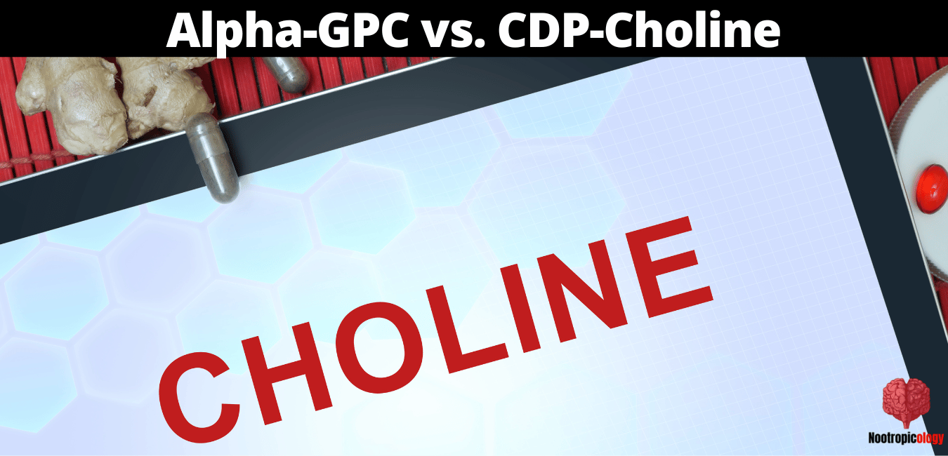 alpha gpc vs cdp choline