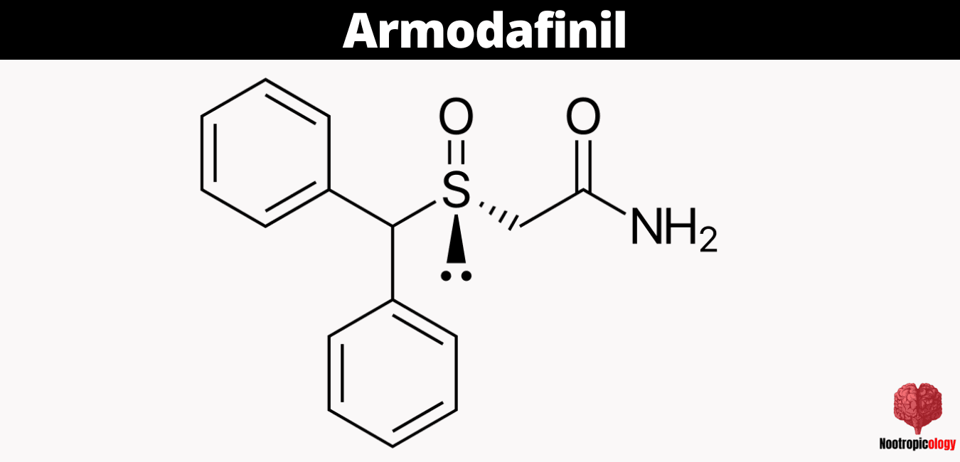 armodafinil review