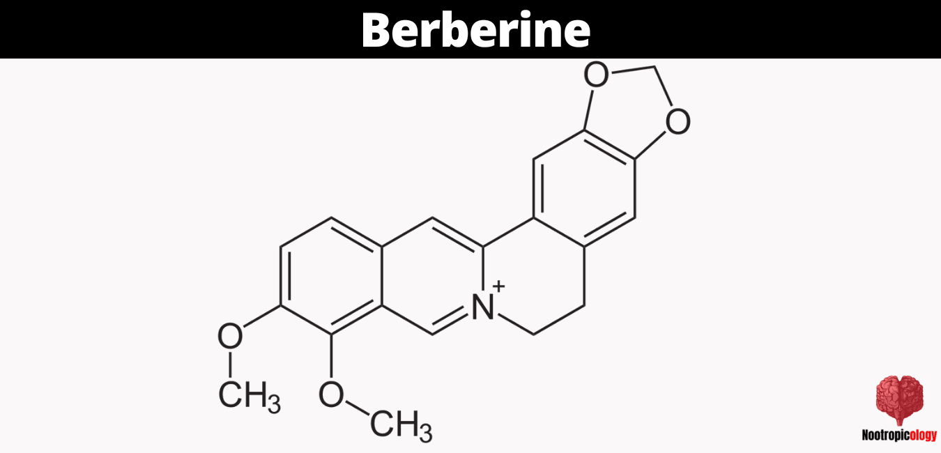 berberine