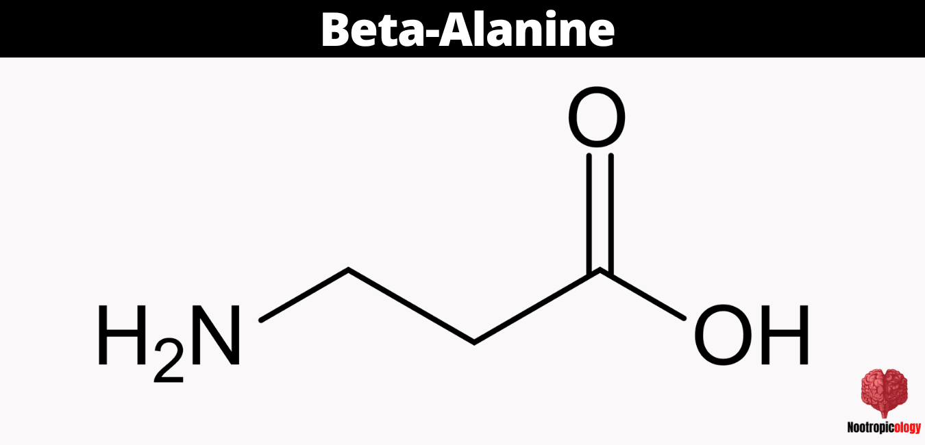 beta alanine