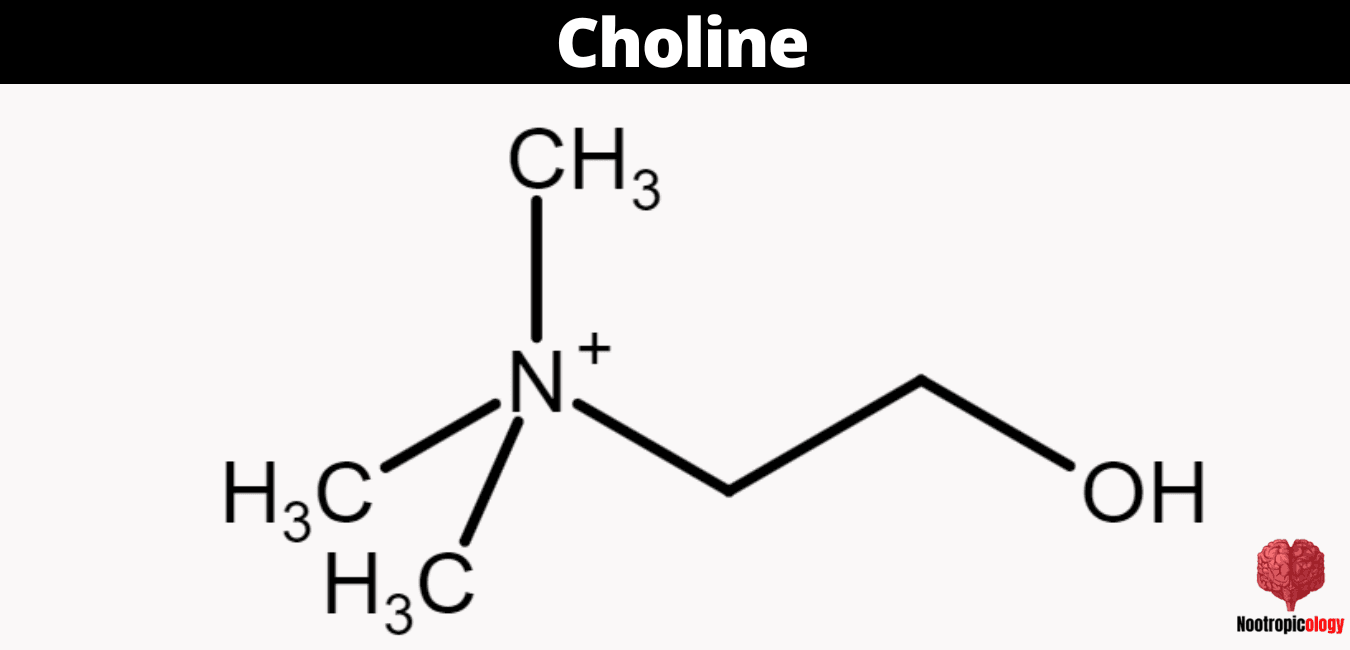 choline