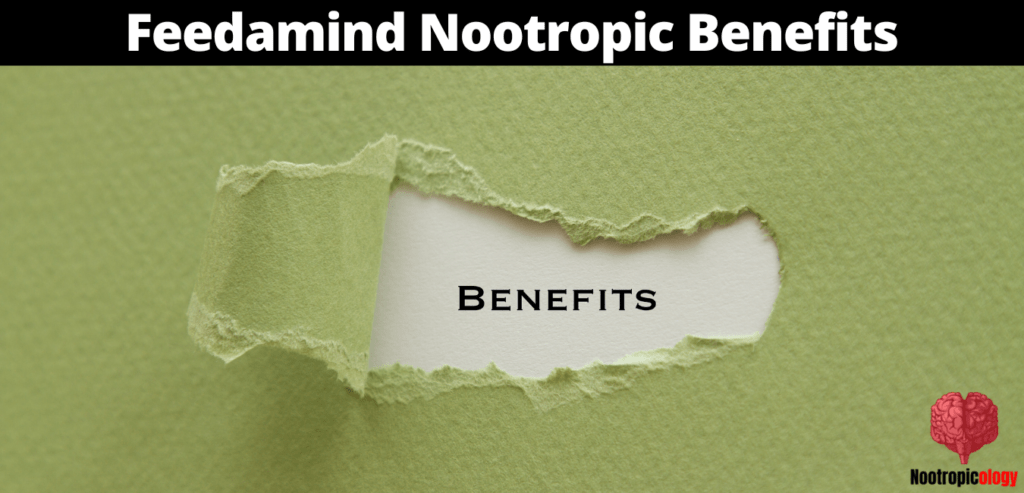 feedamind nootropic benefits