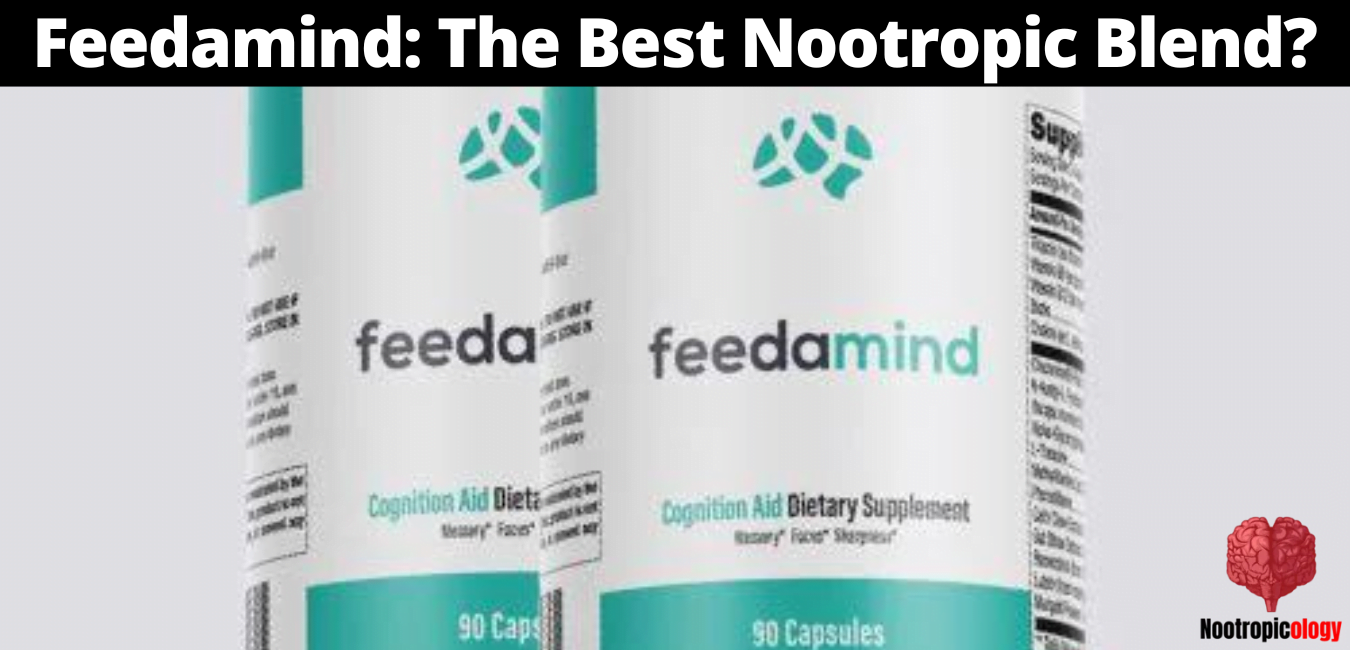 feedamind nootropic review