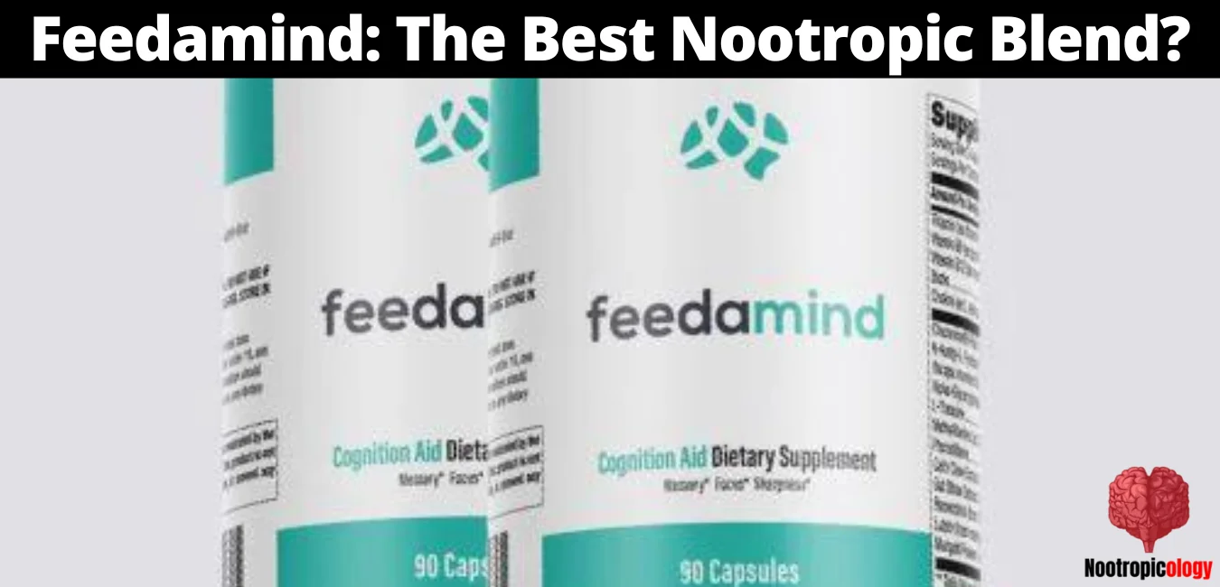 feedamind nootropic review