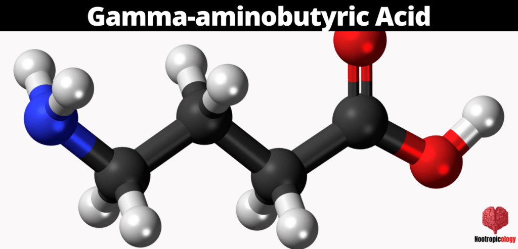 gamma aminobutyric acid