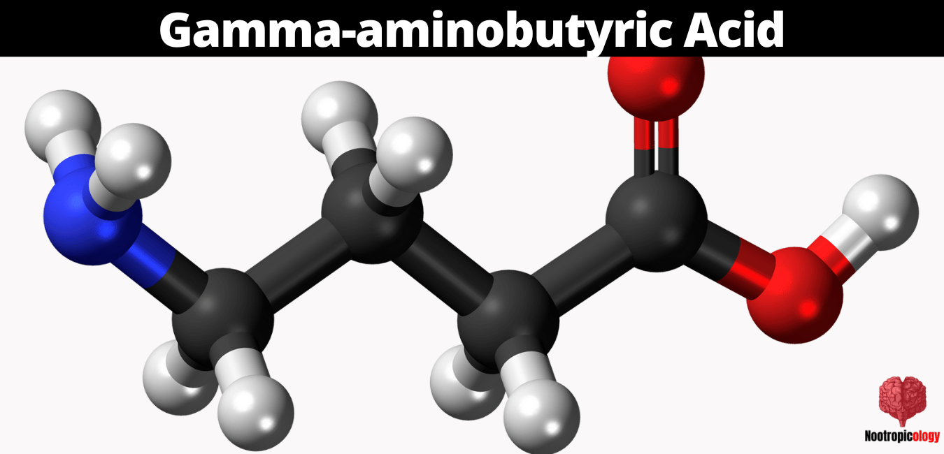 gamma-aminobutyric-acid