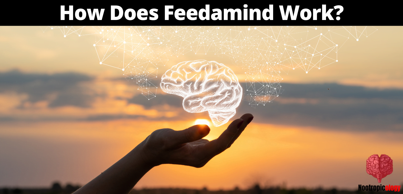 how does feedamind work