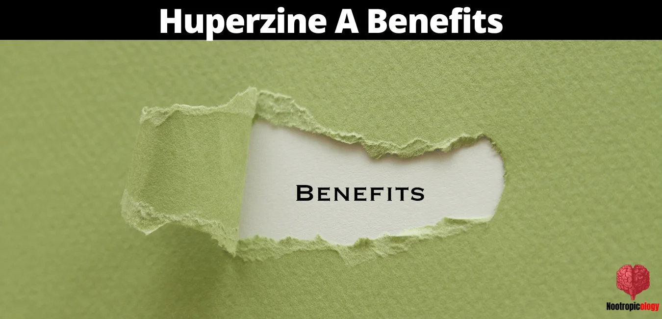 huperzine a benefits