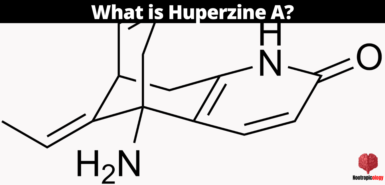 huperzine a