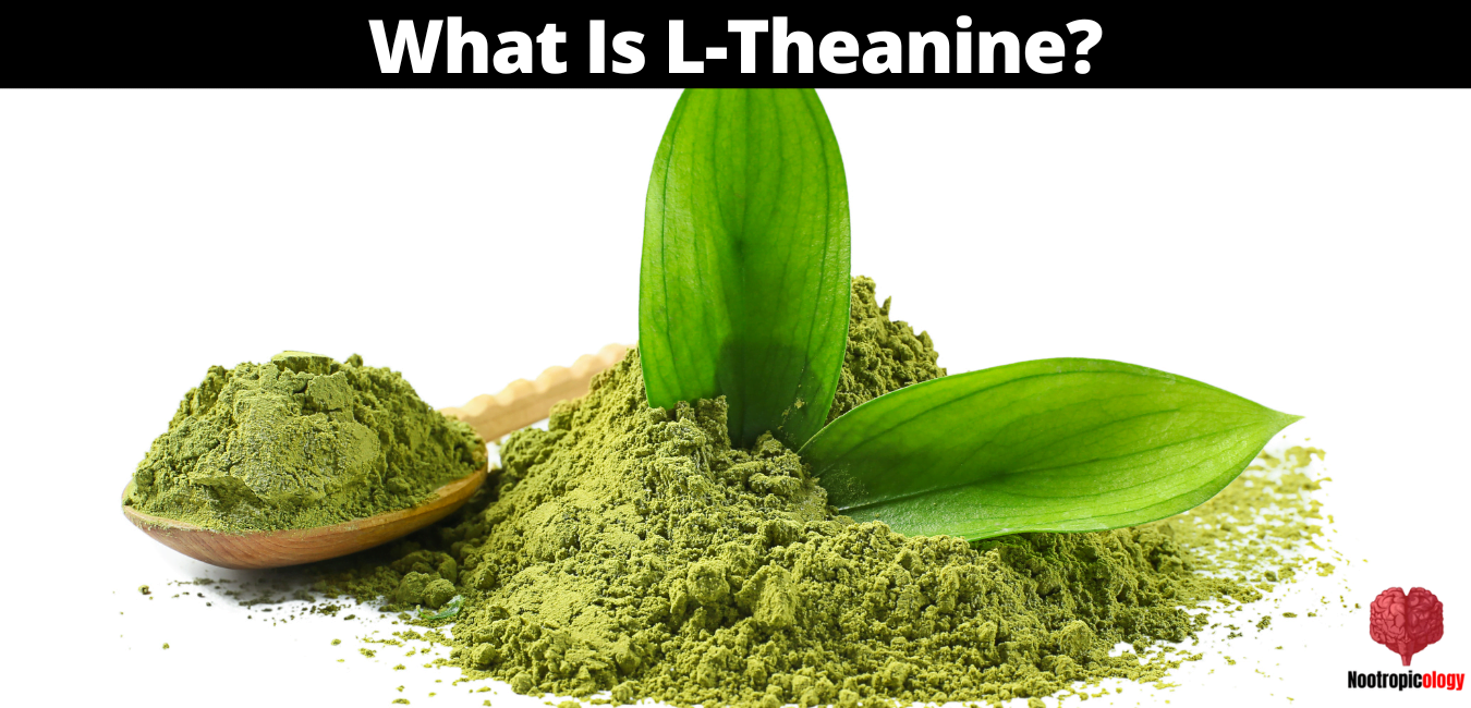 l theanine review