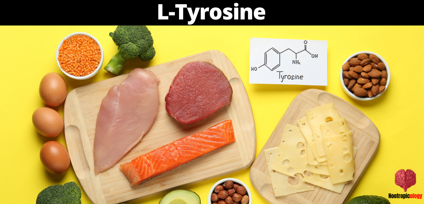 l tyrosine 1