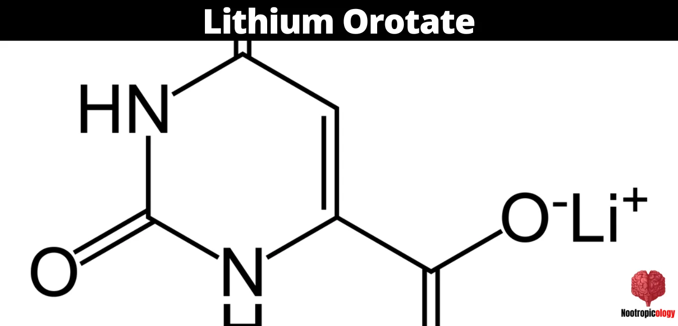 lithium_orotate