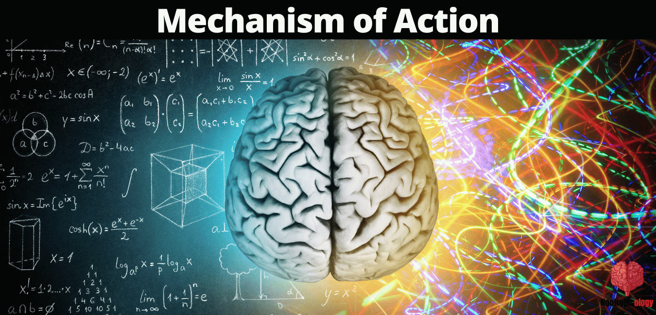 mechanism of action 1