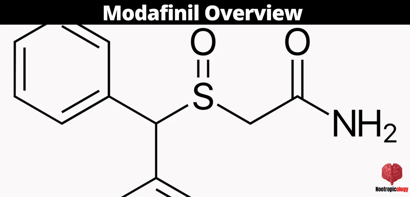 modafinil overview