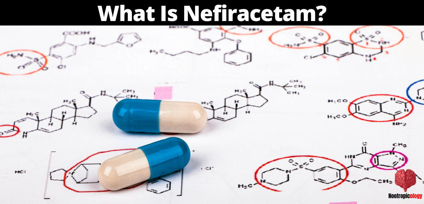 nefiracetam review