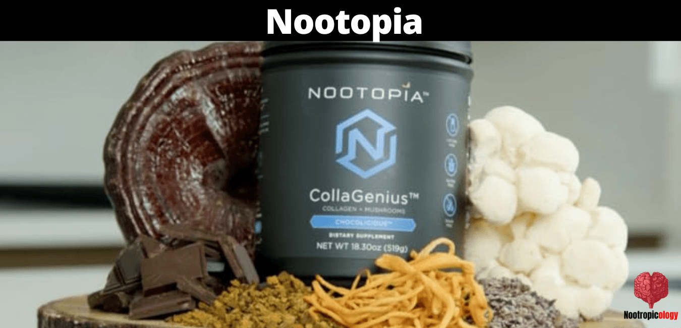 nootopia