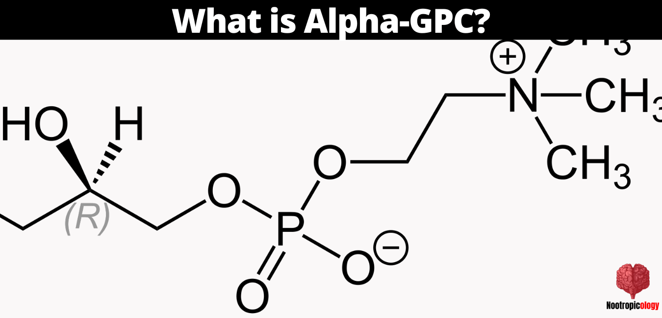 what is alpha gpc
